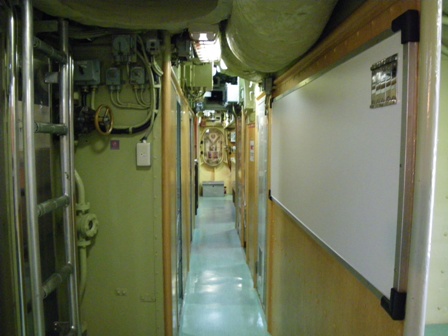 IMGP0041.jpg