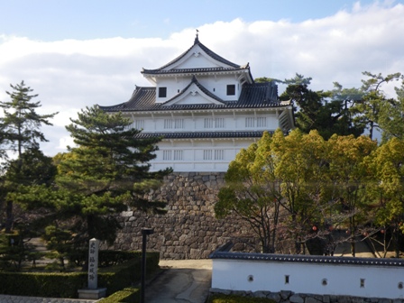IMGP0056.jpg