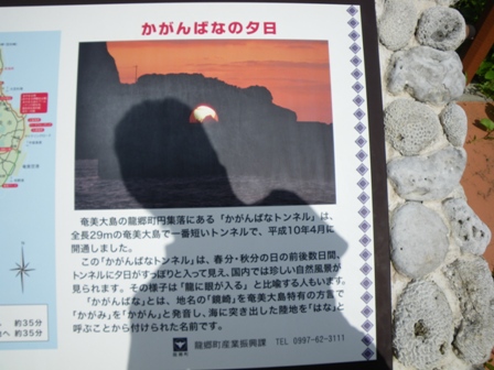 IMGP0151.jpg