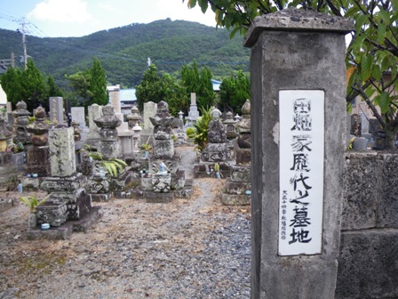 IMGP0154.jpg