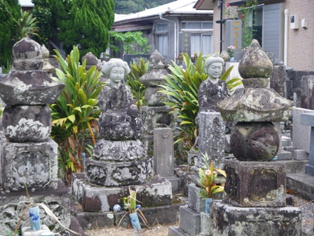 IMGP0155.jpg