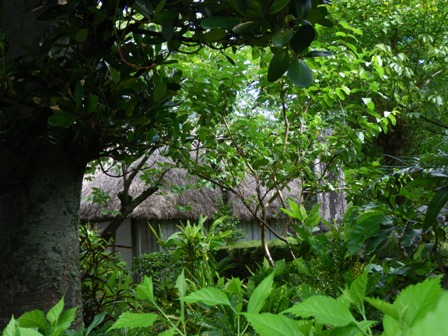 IMGP0159.jpg