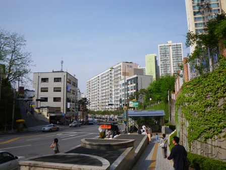 IMGP0430.jpg