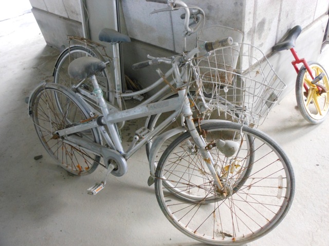 DSCN6048.JPG