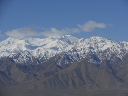 DSCN7337.jpg