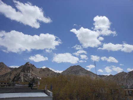 DSCN7488.jpg