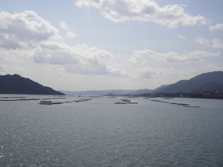 IMGP0124.jpg
