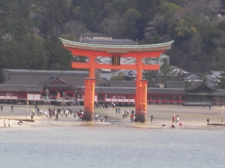 IMGP0126.jpg