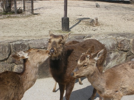 IMGP0134.jpg