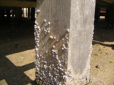 IMGP0156.jpg