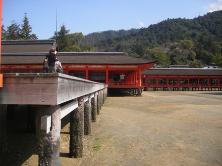 IMGP0158.jpg