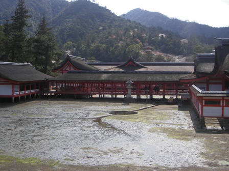 IMGP0160.jpg