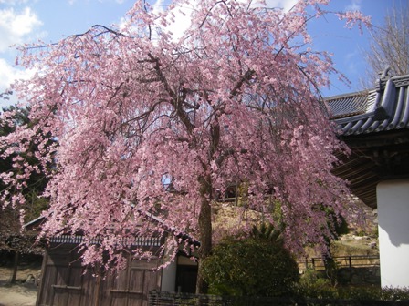 IMGP0161.jpg