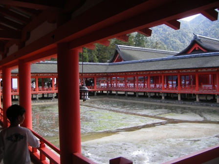 IMGP0163.jpg
