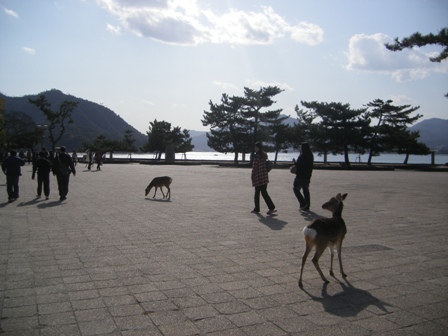 IMGP0181.jpg