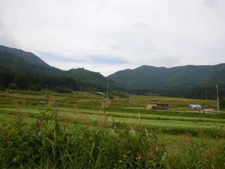 IMGP1850.jpg