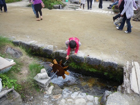 IMGP1860.jpg