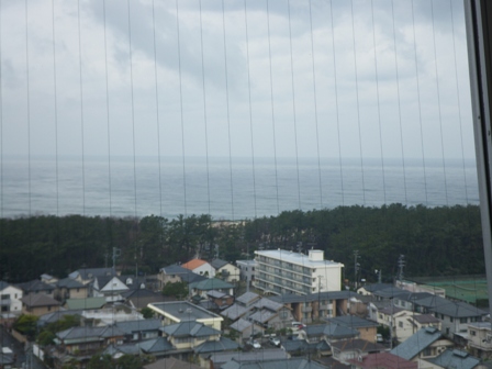 IMGP2145.jpg