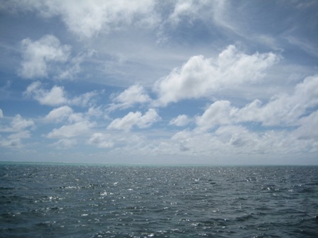 IMG_0361.jpg